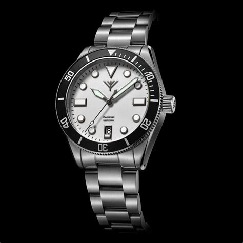 cambrian watches